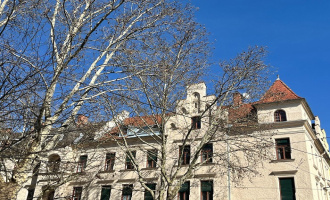 1 Schlafzimmer Schlafzimmer, ,1 BadBadezimmer,Wohnung,Verkauf,1744