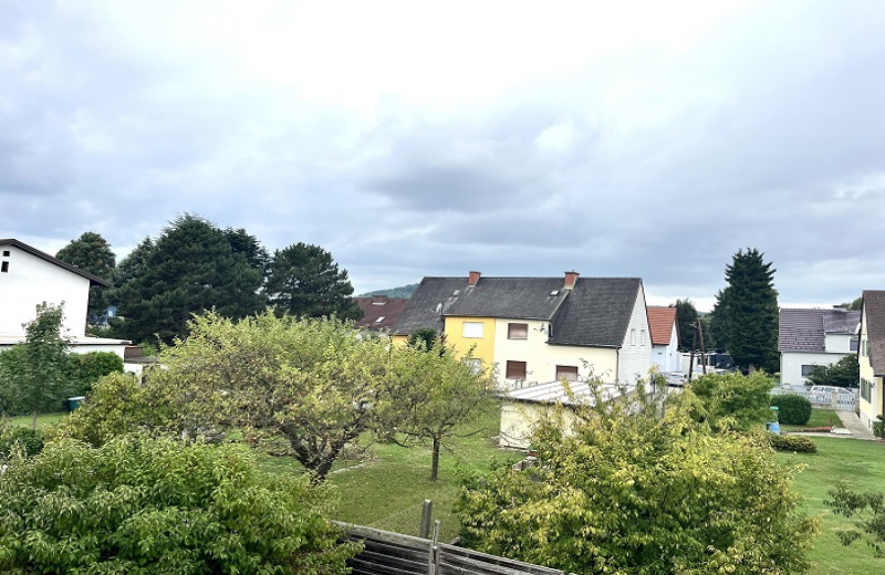 Haus,Verkauf,1784