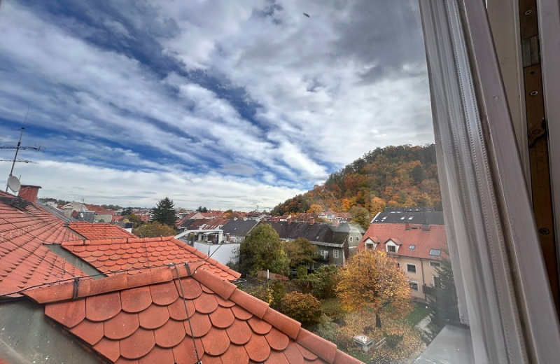 2 Schlafzimmer Schlafzimmer, ,1 BadBadezimmer,Wohnung,Vermietung,1788