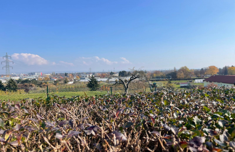 Grundstück,Verkauf,1795